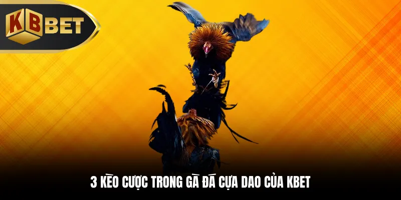 3 kèo cược trong gà đá cựa dao của KBBET