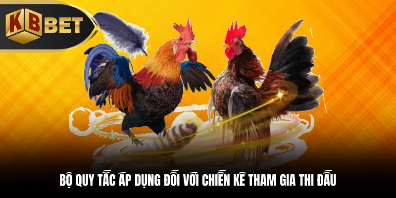 Bộ quy tắc áp dụng đối với chiến kê tham gia thi đấu