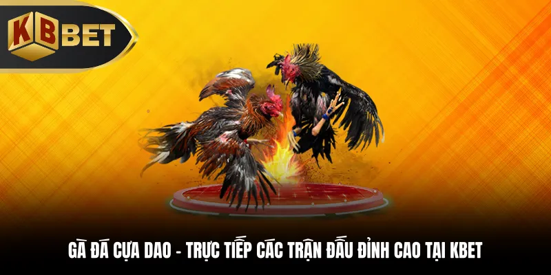 Gà đá cựa dao