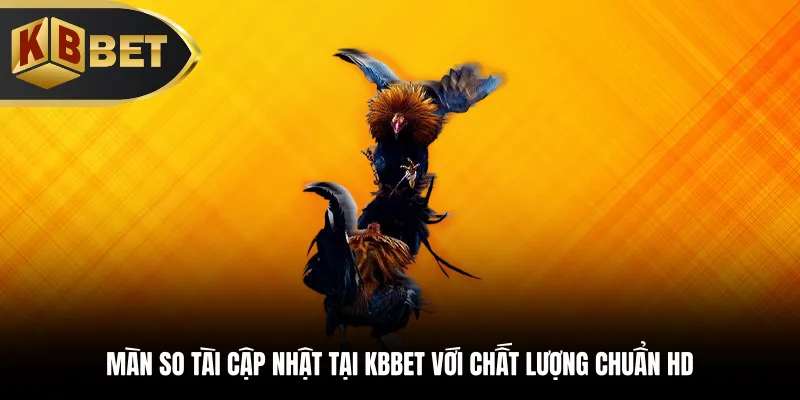 Màn so tài cập nhật tại KBBET với chất lượng chuẩn HD