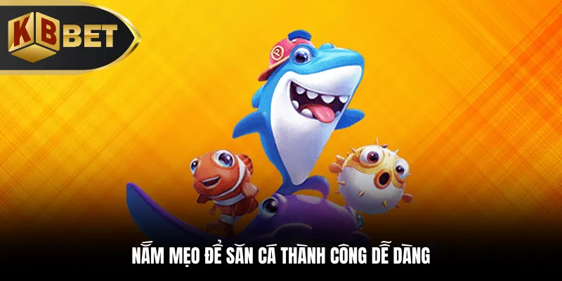 Nắm mẹo để săn cá thành công dễ dàng