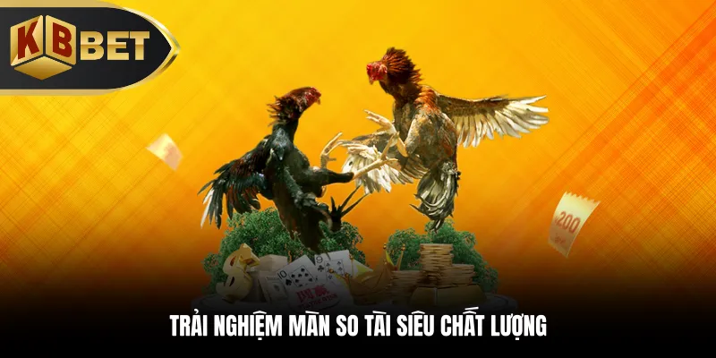 Trải nghiệm màn so tài siêu chất lượng