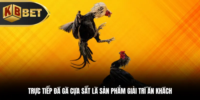 Trực tiếp đá gà cựa sắt là sản phẩm giải trí ăn khách