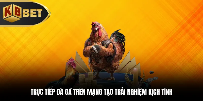 Trực tiếp đá gà trên mạng tạo trải nghiệm kịch tính