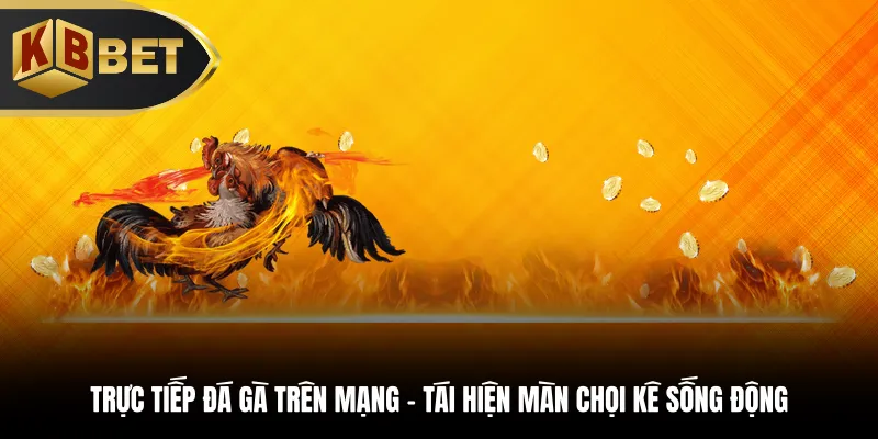 Trực tiếp đá gà trên mạng
